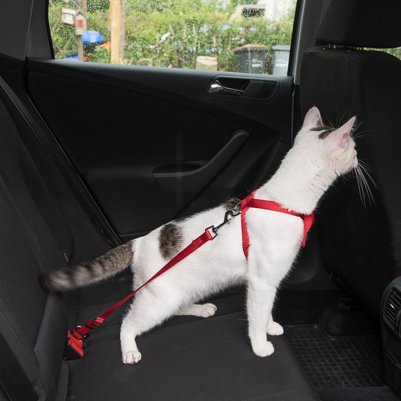 Bitiba Pettorina da automobile per gatti Trixie Negozi Online