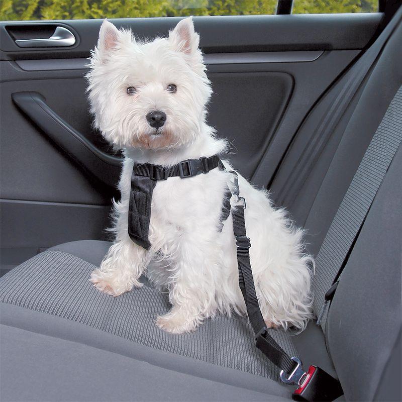 Bitiba Pettorina con cintura di sicurezza per auto Trixie - S Sottocosto
