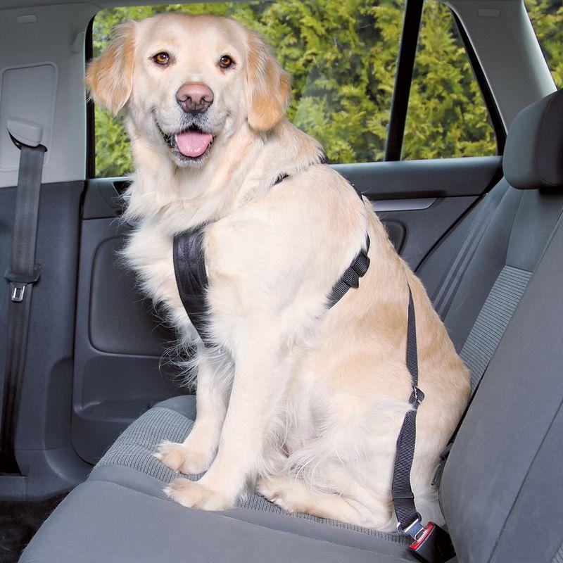 Bitiba Pettorina con cintura di sicurezza per auto Trixie - S Sottocosto