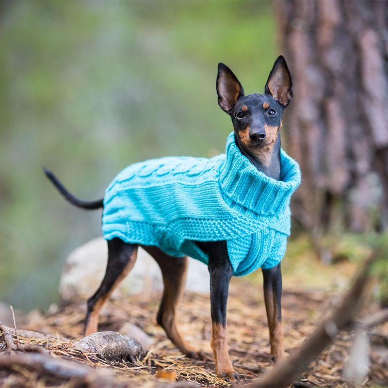Bitiba Pullover per cani Rukka® Wooly - turchese Prezzo di fabbrica