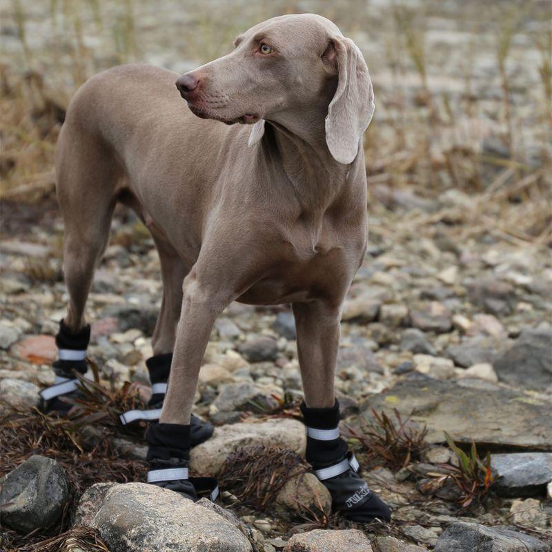 Bitiba Scarpe invernali per cani Rukka® Thermo nere Vendite stagionali