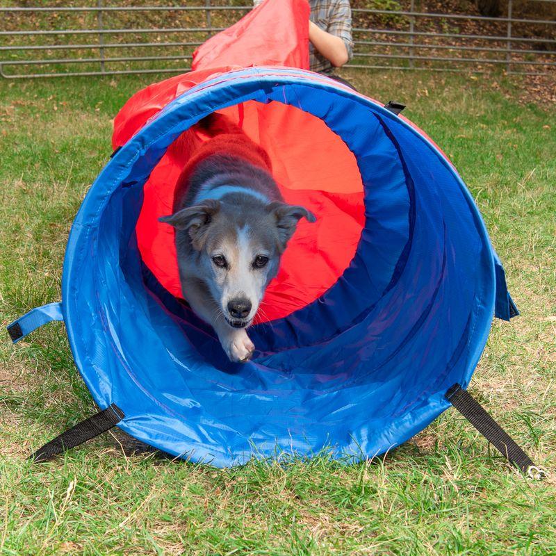 Bitiba Tunnel morbido Agility Fun & Sport Liquidazione