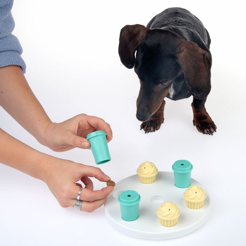 Bitiba Gioco TIAKI Breakfast per cani Offerte giornaliere
