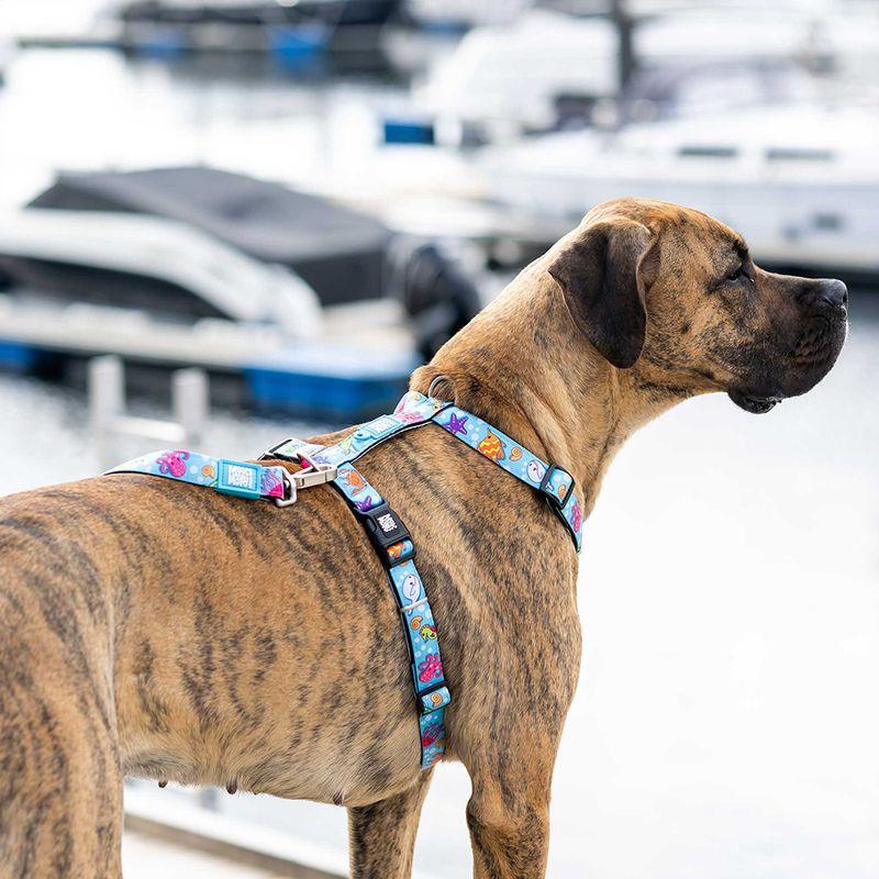 Bitiba Pettorina ad H Max & Molly Blue Ocean Offerta settimanale