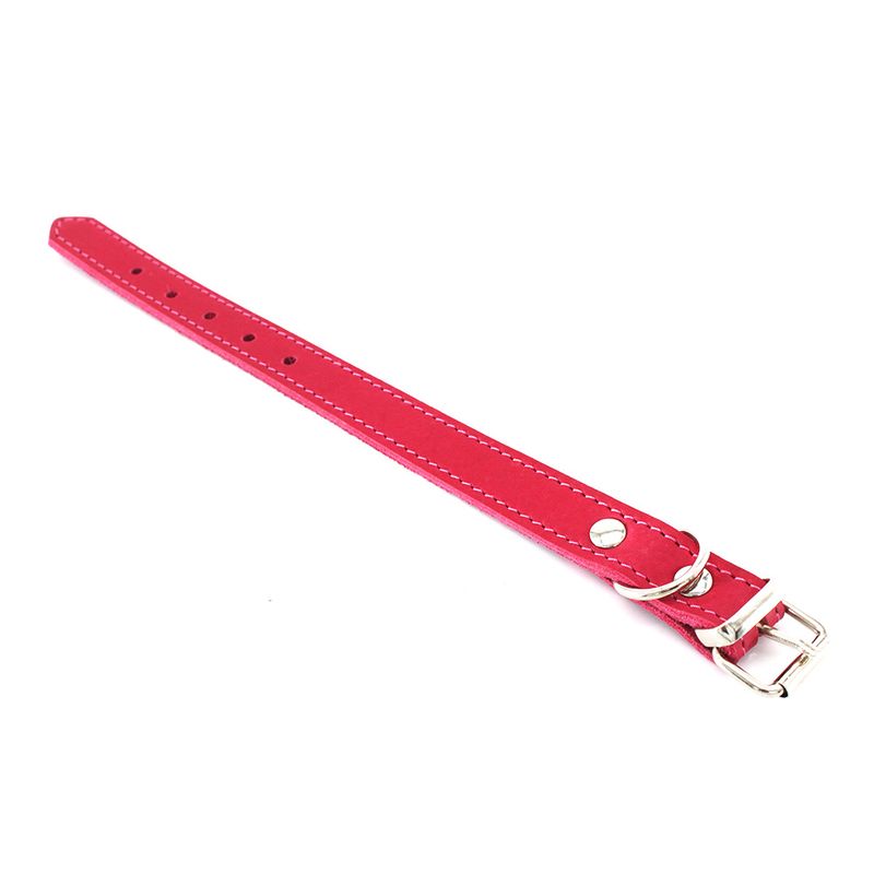 Bitiba Collare Heim con cucitura decorativa rosa Promozione temporanea