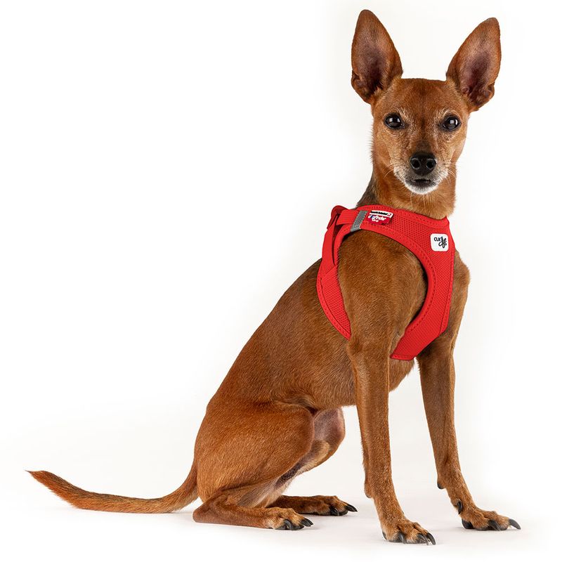 Bitiba Pettorina curli Vest Clasp Air-Mesh - rossa Officina