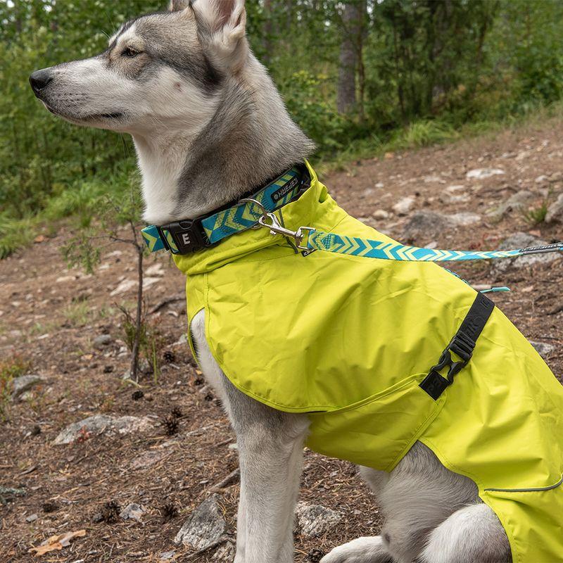 Bitiba Guinzaglio Icepeak Pet® Live aqua Limitato a 3 giorni