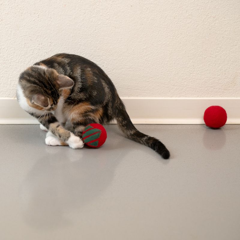 Bitiba Palline di lana Modern Living Laponia per gatto Nuovo