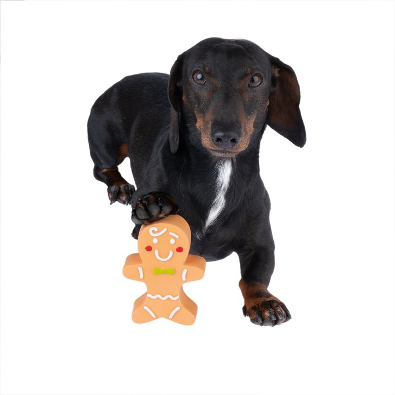 Bitiba Gioco per cani TIAKI Pan di zenzero Negozi Online