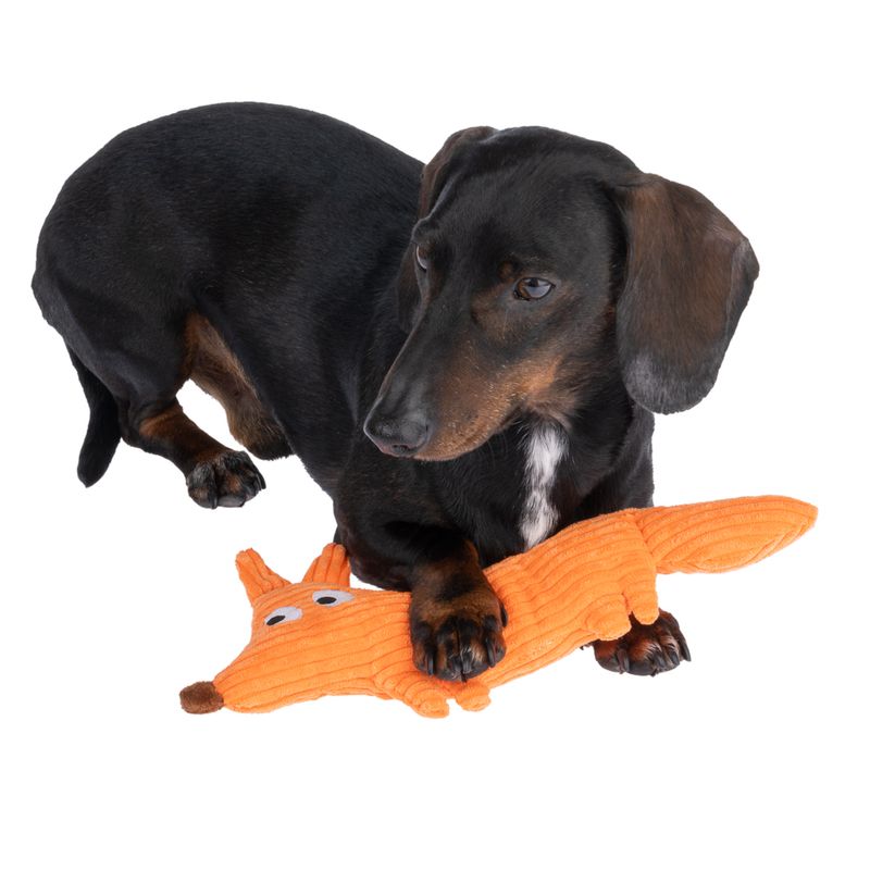 Bitiba Gioco per cani TIAKI James Corduroy Convenienza