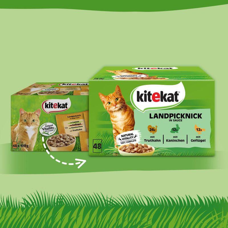 Bitiba Kitekat in buste 48 x 85 g Umido per gatto Offerta Anniversario