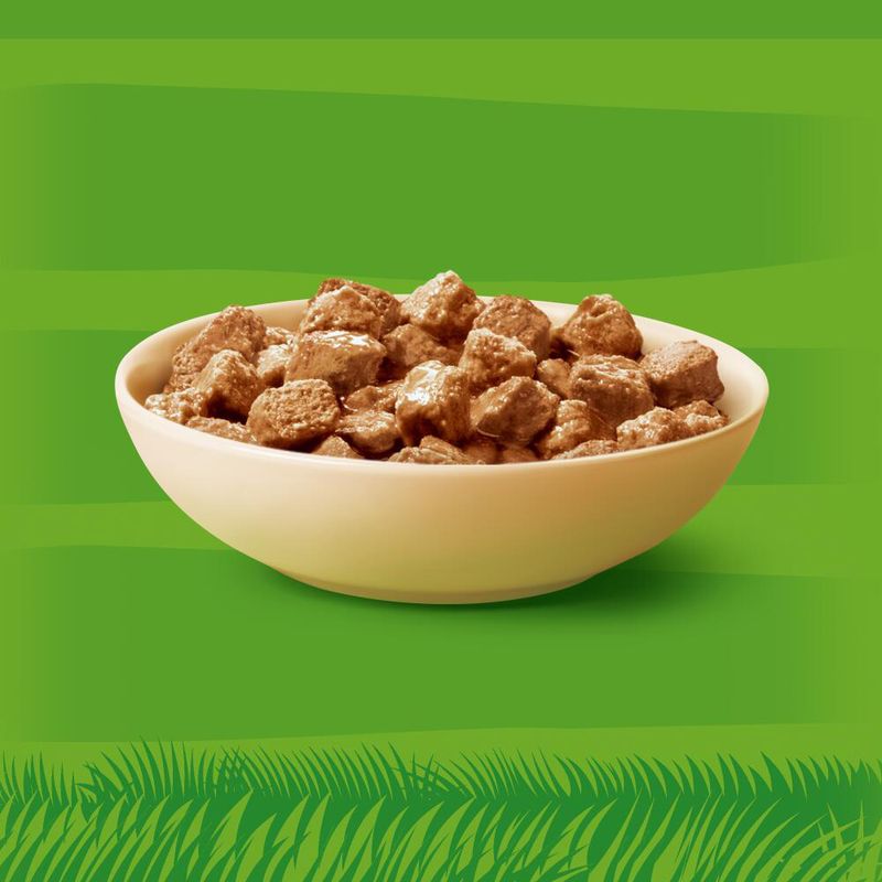 Bitiba Kitekat in buste 48 x 85 g Umido per gatto Offerta Anniversario