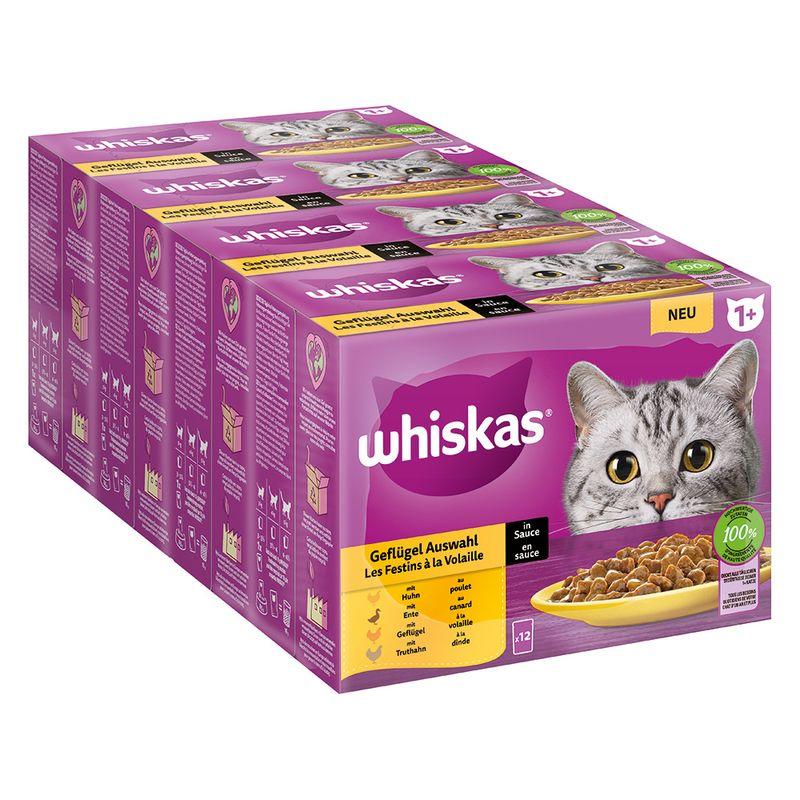 Bitiba Megapack Whiskas 1+ buste 96 x 85 g Alimento umido per gatto Online Outlet
