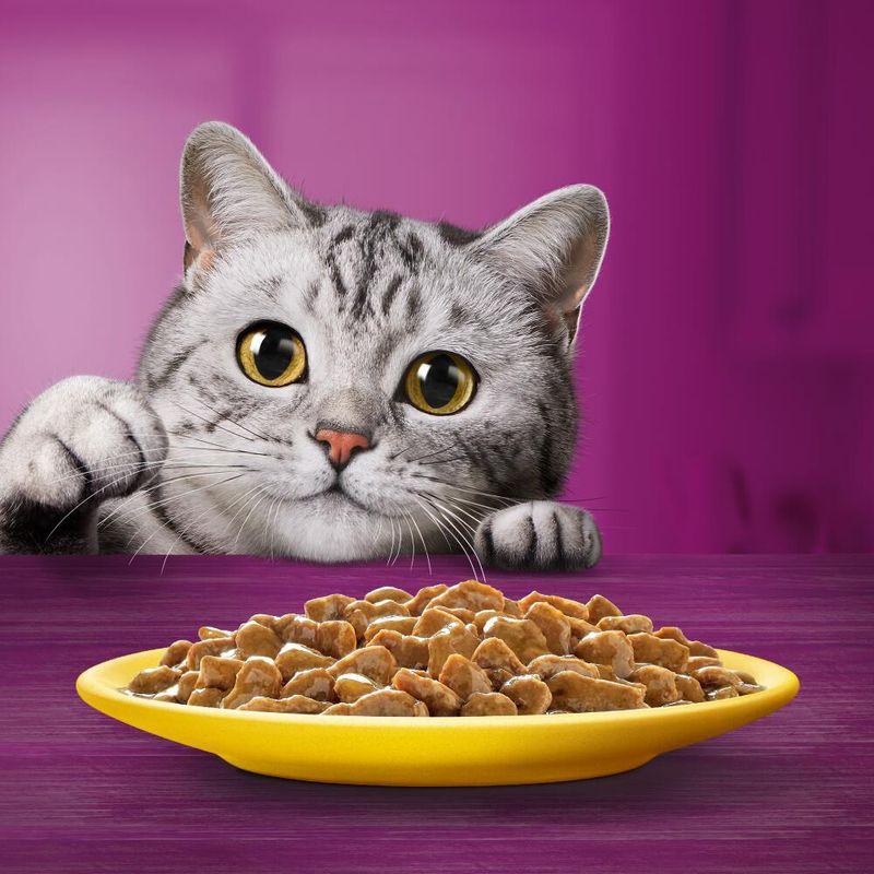 Bitiba Megapack Whiskas 1+ buste 96 x 85 g Alimento umido per gatto Online Outlet