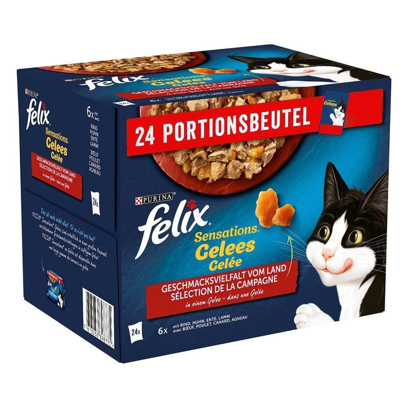 Bitiba Fai scorta Felix Sensations in Gelatina 24 x 85 g Nuovi prodotti