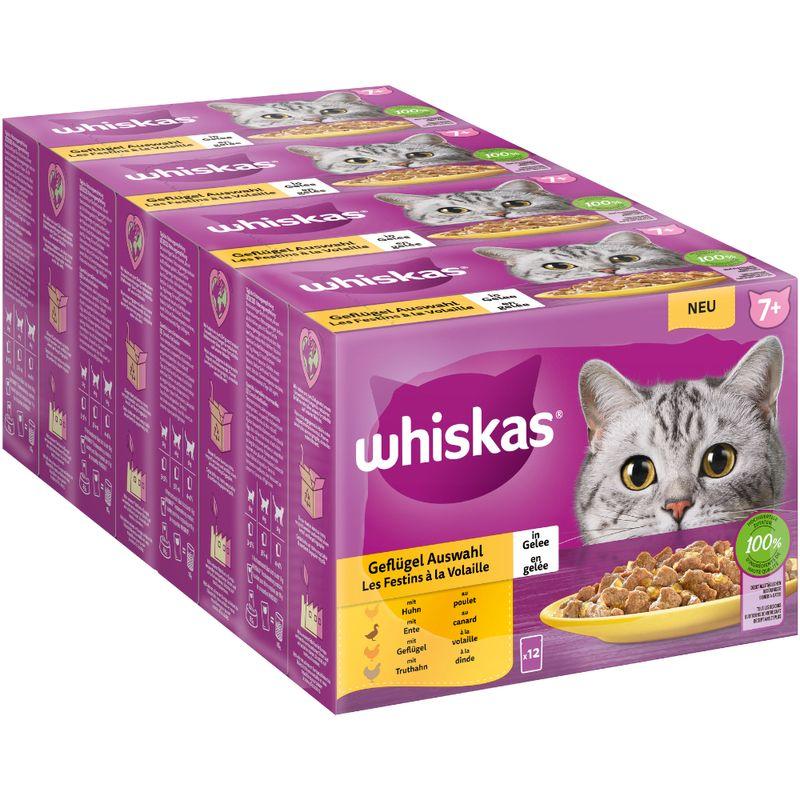 Bitiba Whiskas Senior buste 48 x 85 g Alimento umido per gatti Offerte speciali