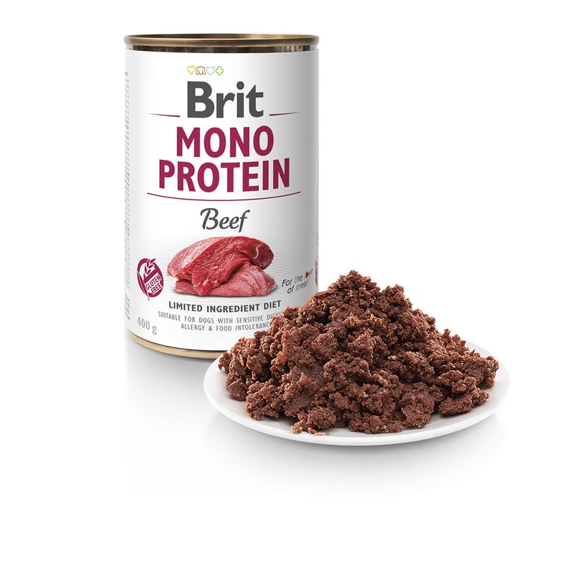 Bitiba Fai scorta Brit Mono Protein 24 x 400 g umido per cane Promozione temporanea