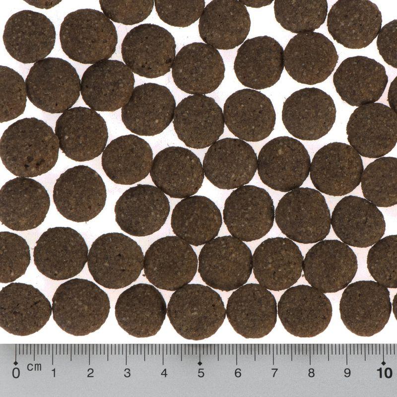Bitiba Fai scorta Purizon Single Meat Adult 2 x 12 kg Crocchette per cani Spedizione Gratuita