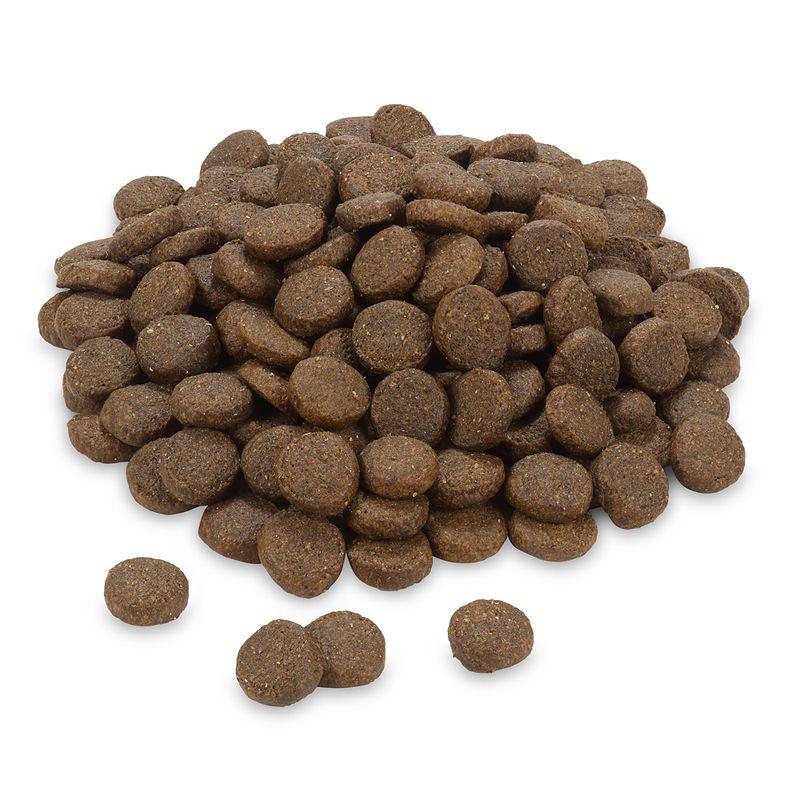 Bitiba Fai scorta Greenwoods 2 x 12 kg Crocchette per cani Negozi Online