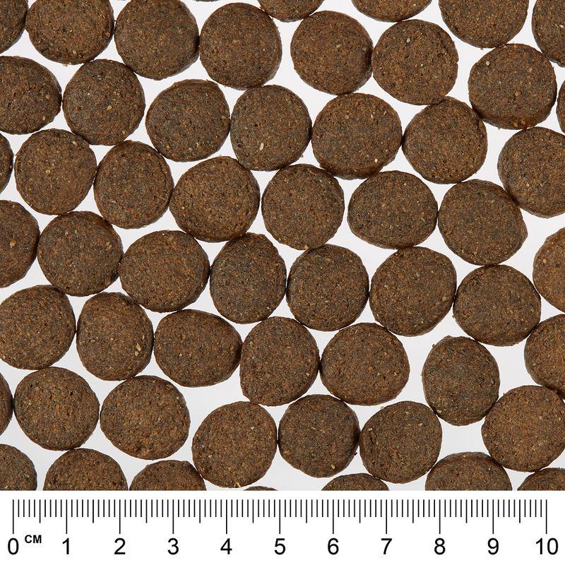 Bitiba Fai scorta Greenwoods 2 x 12 kg Crocchette per cani Negozi Online