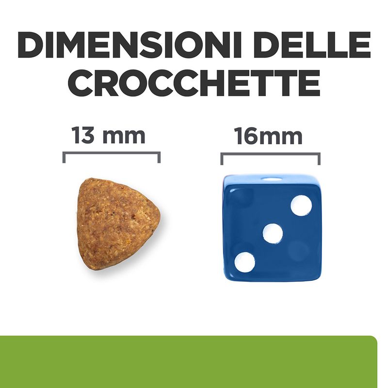 Bitiba Hill's Prescription Diet Metabolic Weight Management secco per cani Promozione Limitata