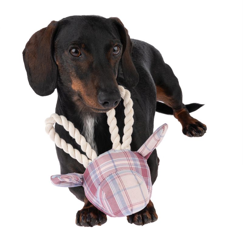 Bitiba Gioco per cani TIAKI giraffa con corda Sconto di tempo limitato