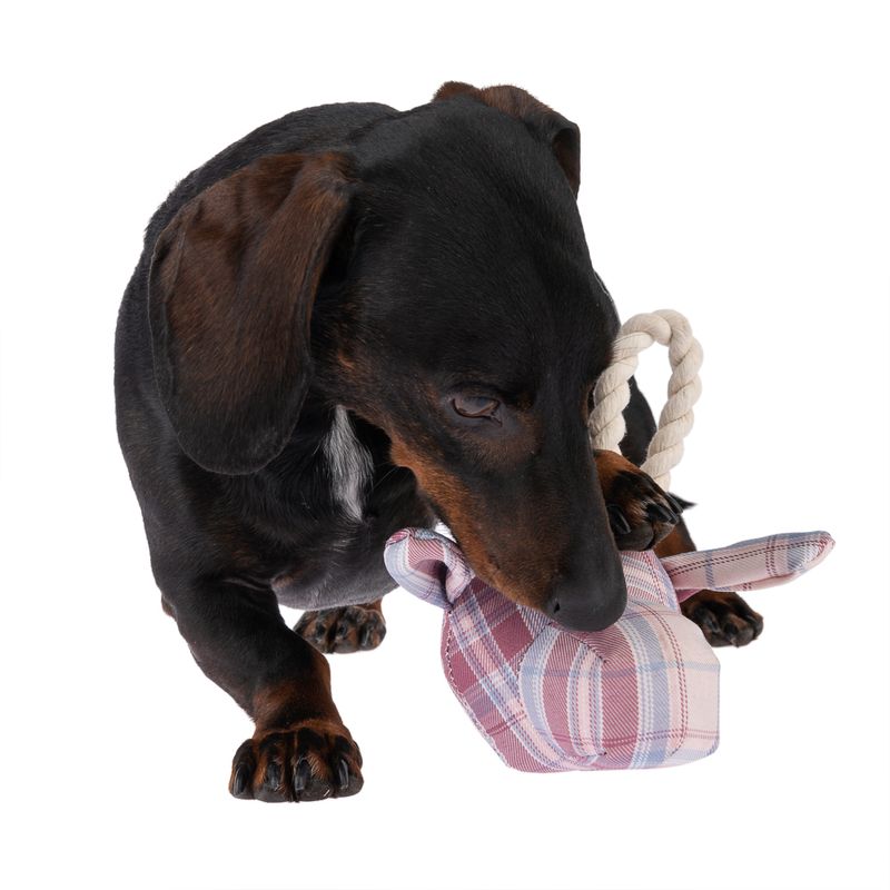 Bitiba Gioco per cani TIAKI giraffa con corda Sconto di tempo limitato