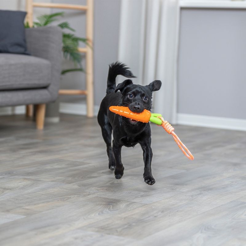 Bitiba Gioco per cani Trixie Carota con corda Offerta speciale