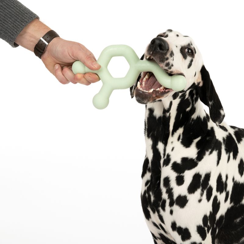 Bitiba Nomad Tales Bloom Giocattolo per cani Molecule Shopping online