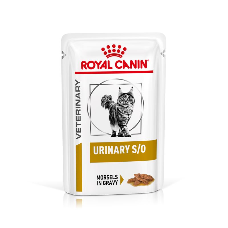 Bitiba Royal Canin Urinary S/O Feline Veterinary in Salsa umido per gatti Offerta San Valentino