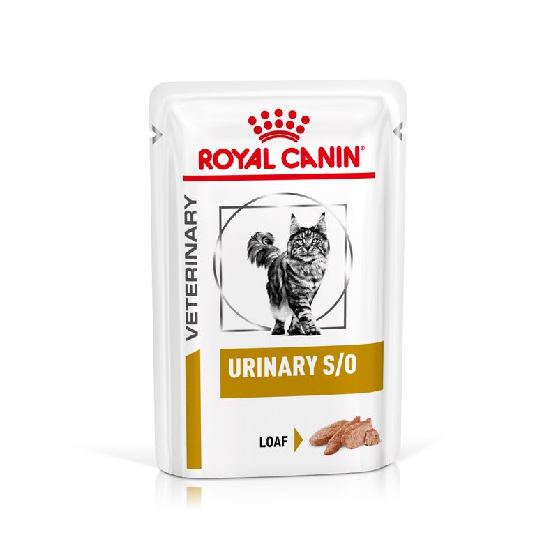 Bitiba Royal Canin Urinary S/O Feline Veterinary in Salsa umido per gatti Offerta San Valentino