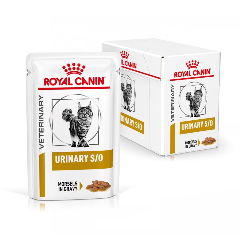 Bitiba Royal Canin Urinary S/O Feline Veterinary in Salsa umido per gatti Offerta San Valentino