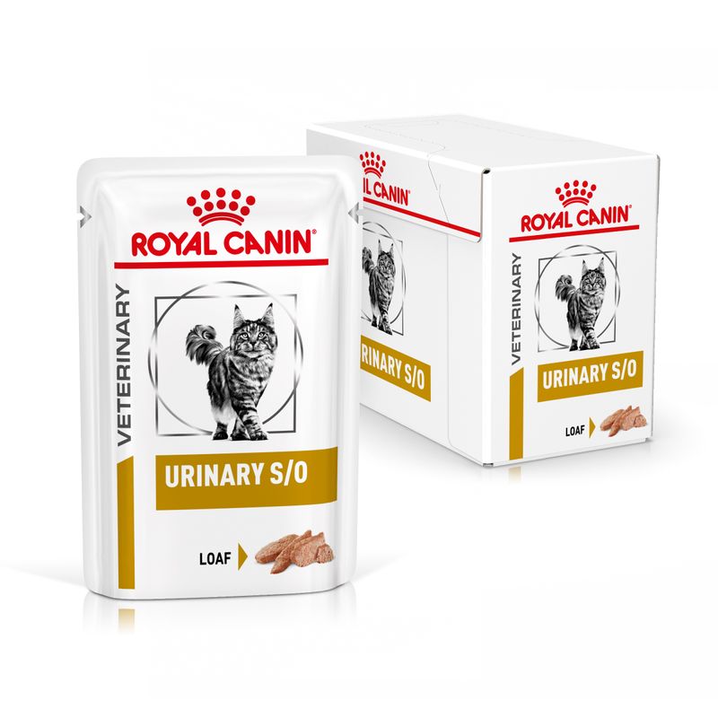 Bitiba Royal Canin Urinary S/O Feline Veterinary in Salsa umido per gatti Offerta San Valentino