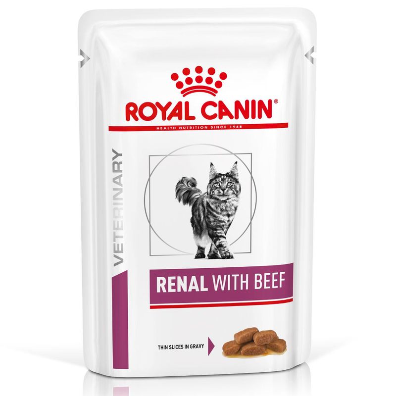 Bitiba Royal Canin Renal Feline Veterinary Alimento umido per gatti Smaltimento dello stoccaggio