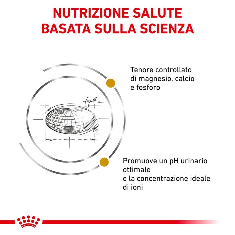 Bitiba Royal Canin Veterinary Feline Urinary S/O Crocchette per gatto Offerta migliore