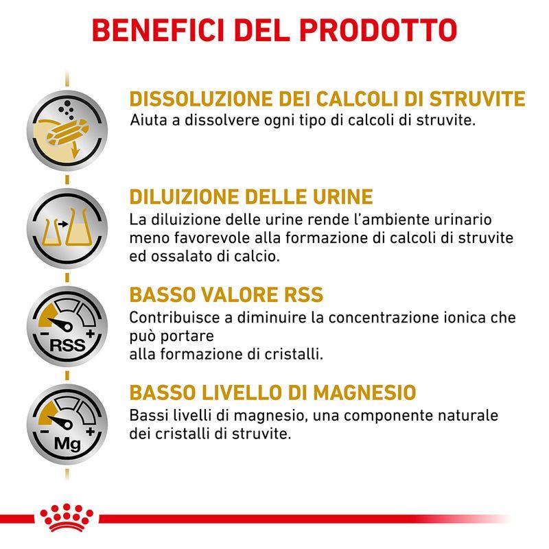 Bitiba Royal Canin Veterinary Feline Urinary S/O Crocchette per gatto Offerta migliore