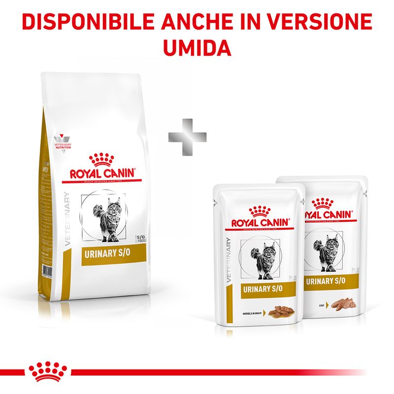 Bitiba Royal Canin Veterinary Feline Urinary S/O Crocchette per gatto Offerta migliore