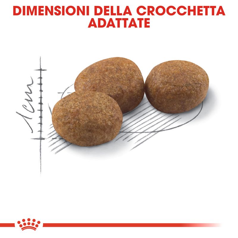 Bitiba Royal Canin Sterilised 37 Crocchette per gatti Latest fashion