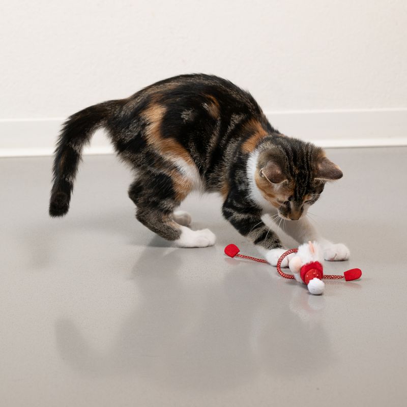 Bitiba Gioco per gatti natalizio TIAKI Santa Long Legs Offerte speciali