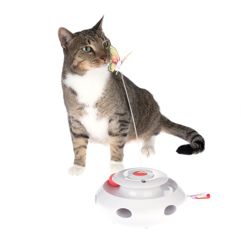 Bitiba Gioco per gatti 3 in 1 TIAKI Mariposa Super Saving Price