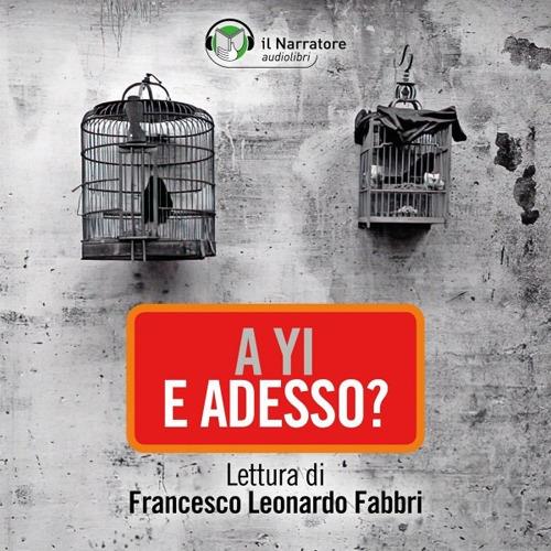 Libraccio E adesso? (audiolibro)