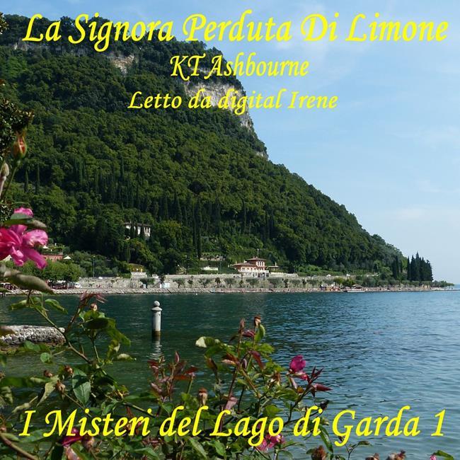 Libraccio La Signora Perduta Di Limone (audiolibro) Comprare a buon mercato