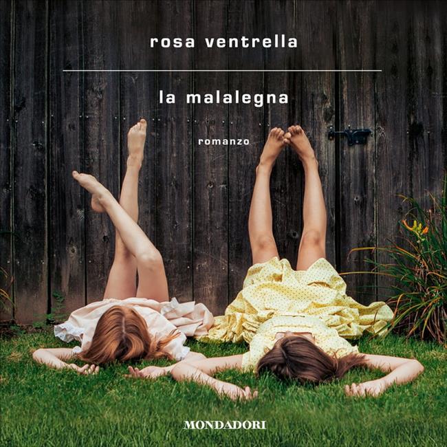 Libraccio La malalegna (audiolibro) Ritorno libero