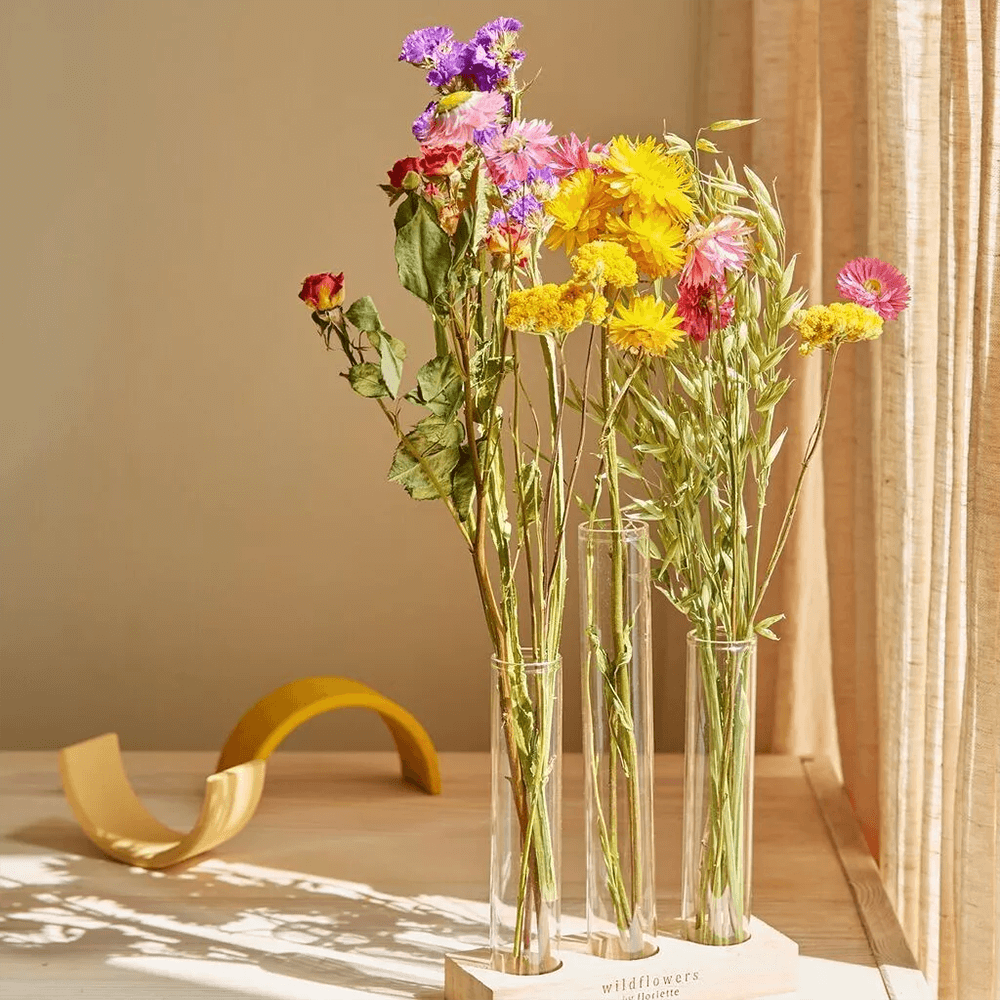 Sbam Design Set fiori secchi e fialette 2025