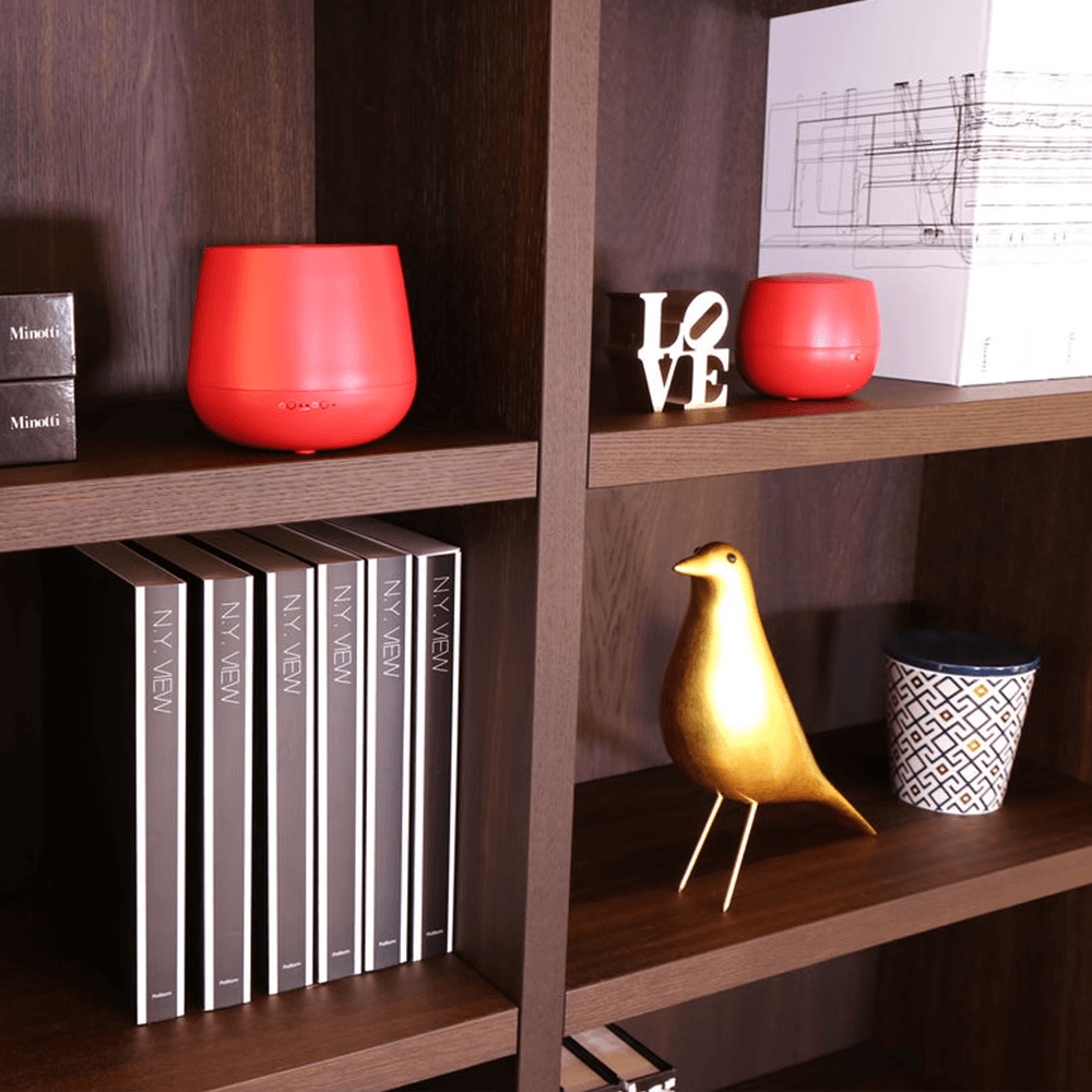 Sbam Design Diffusore di aromi oli essenziali – Julia Acquista Ora