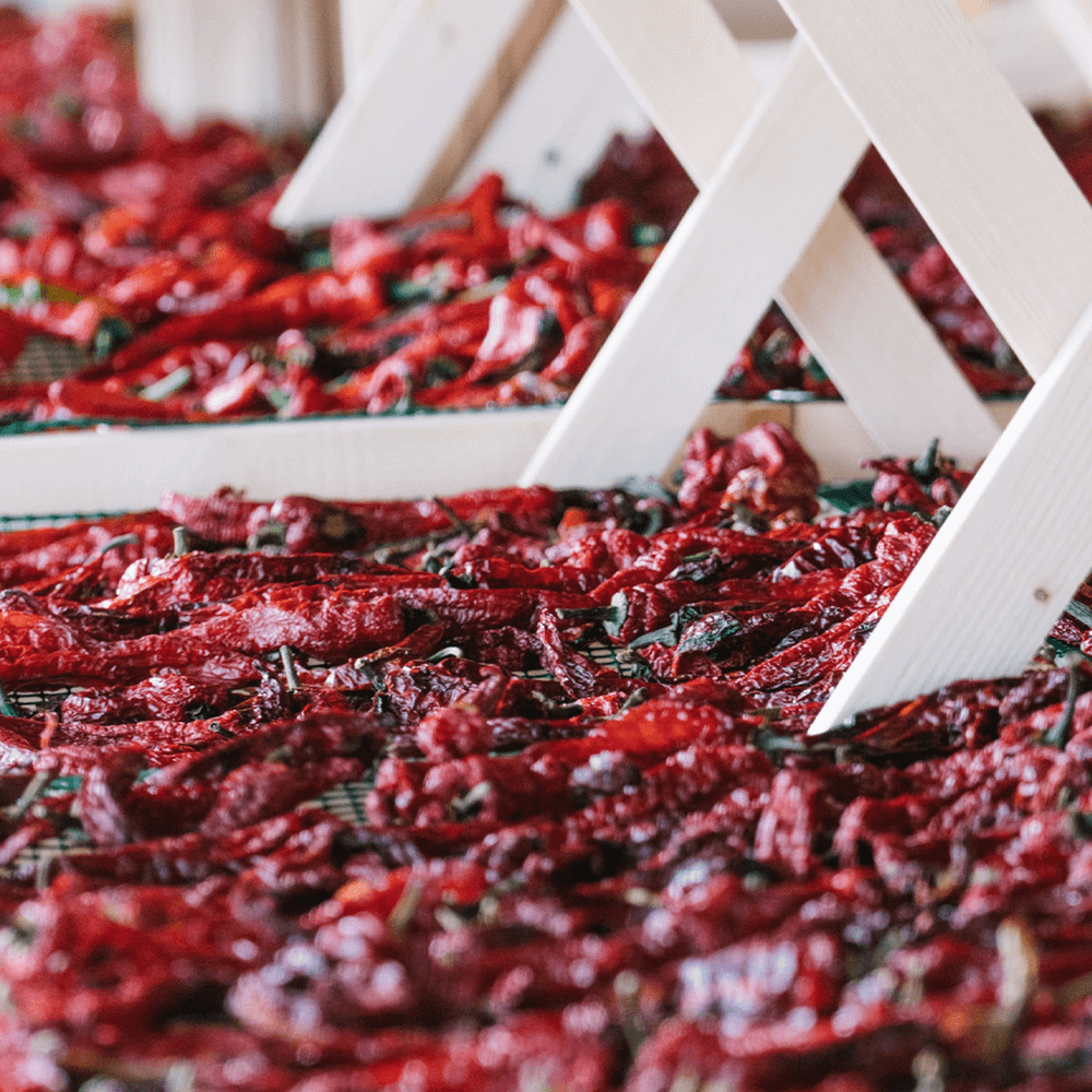 Sbam Design Fòrte – Peperoncino in olio extra vergine di oliva Presa