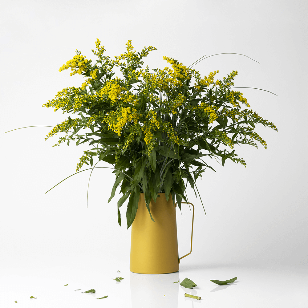 Sbam Design Brocca/Vaso – Diario Officina
