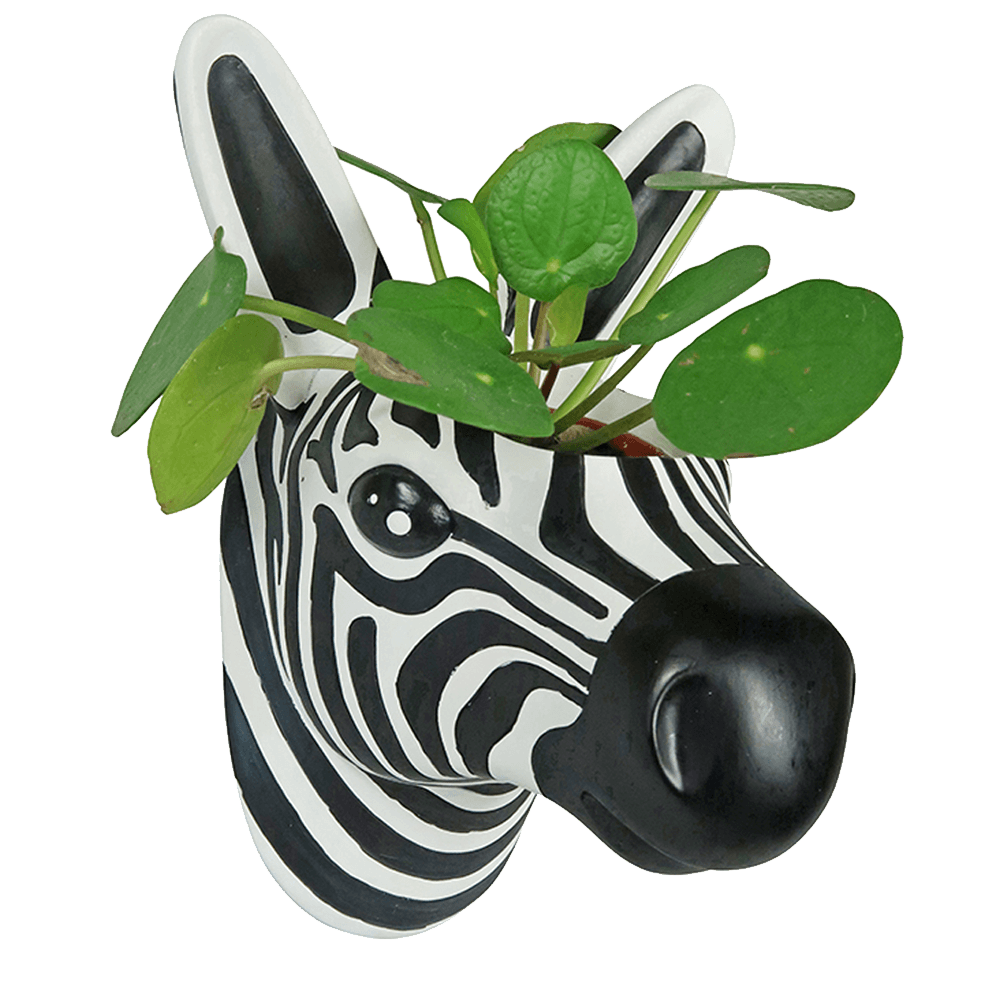 Sbam Design Vaso da parete – zebra Promozione