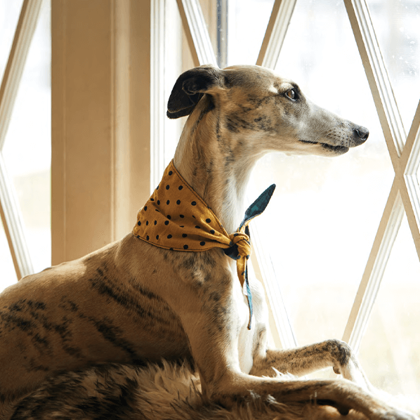 Sbam Design Bandana reversibile Saldi Di Fabbrica