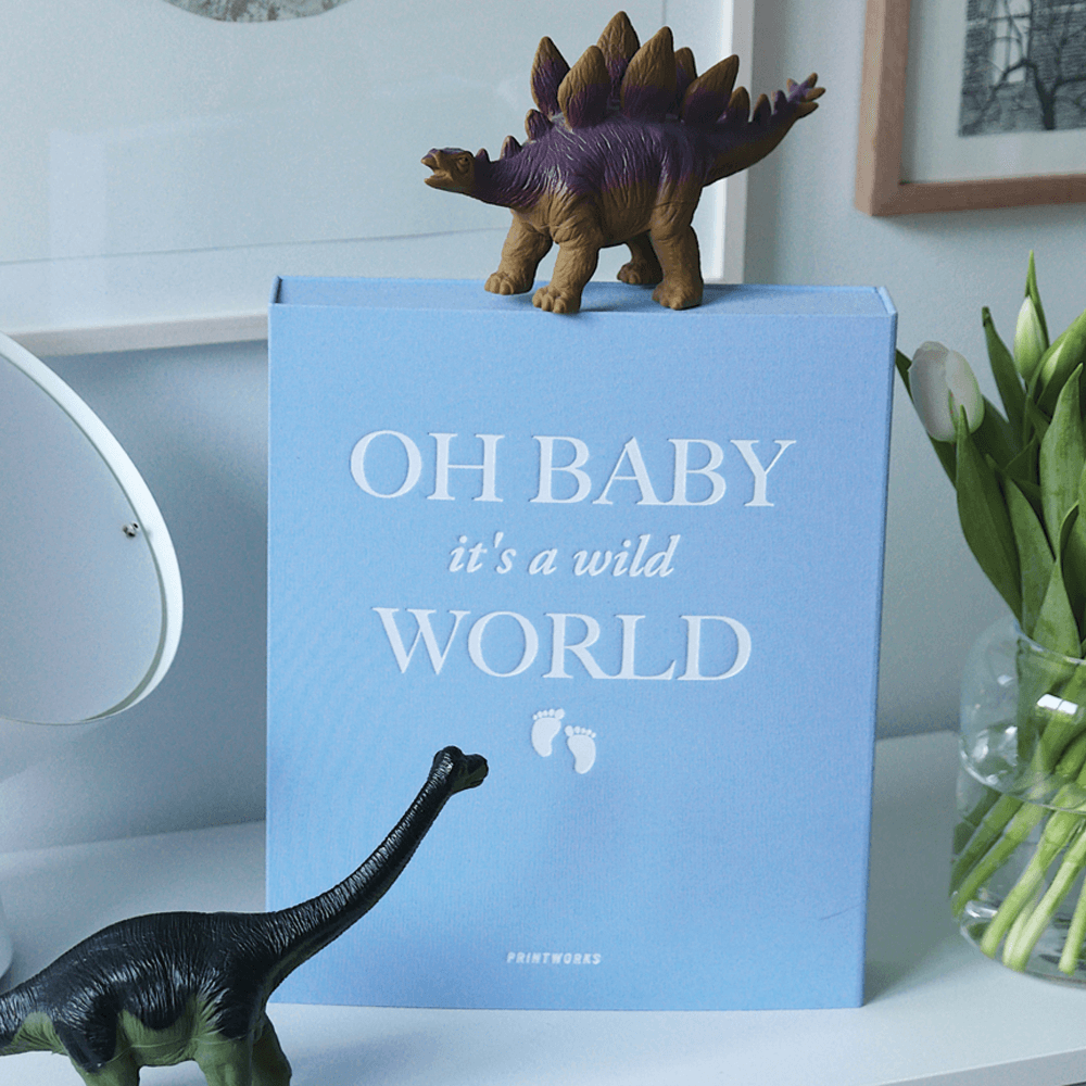 Sbam Design Album per fotografie “Oh baby it’s a wild world” Fino Al -60%